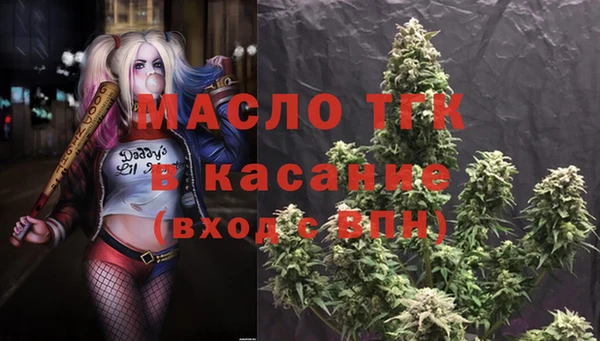 гидропоника Горняк