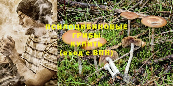 МДПВ Горнозаводск