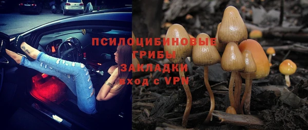 МДПВ Горнозаводск