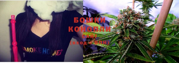 гидропоника Горняк