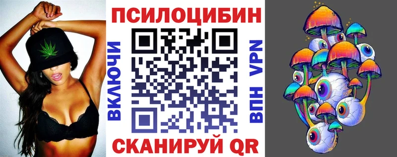 закладки  Елизово  Галлюциногенные грибы прущие грибы 
