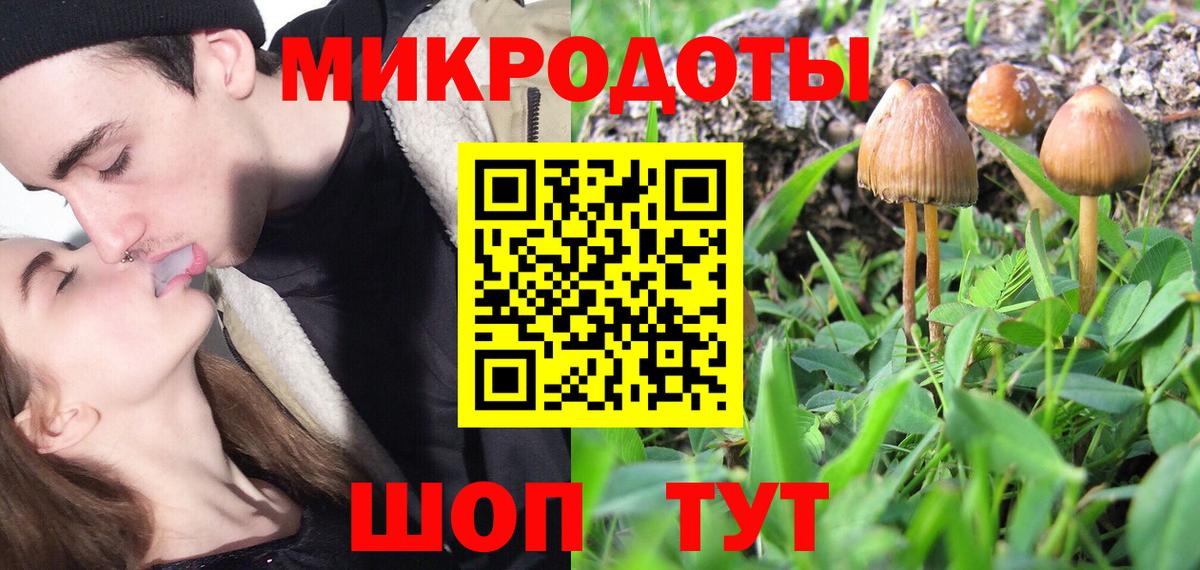 дарнет шоп  Вход с VPN  Елизово  Галлюциногенные грибы GOLDEN TEACHER  Псилоцибиновые грибы прущие грибы 