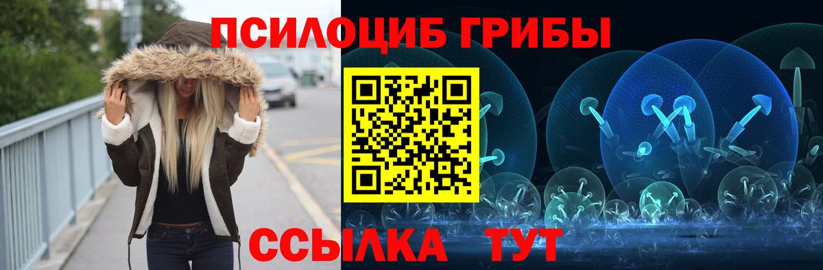 Галлюциногенные грибы прущие грибы Елизово